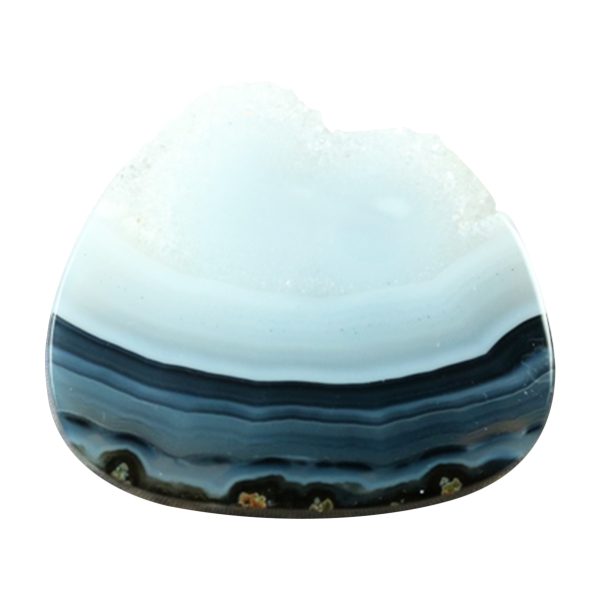 Piranha Agate Cabochon