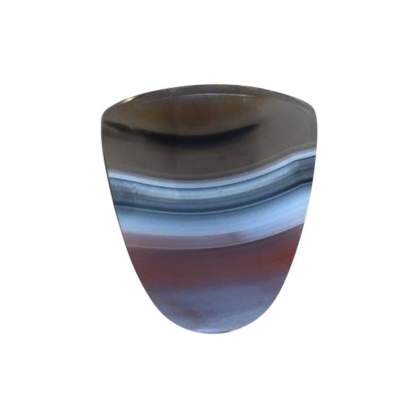 Piranha Agate Cabochon