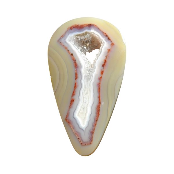 Piranha Agate Cabochon