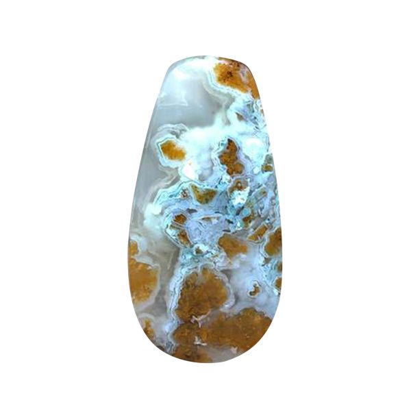 Ram’s Horn Agate Cabochon